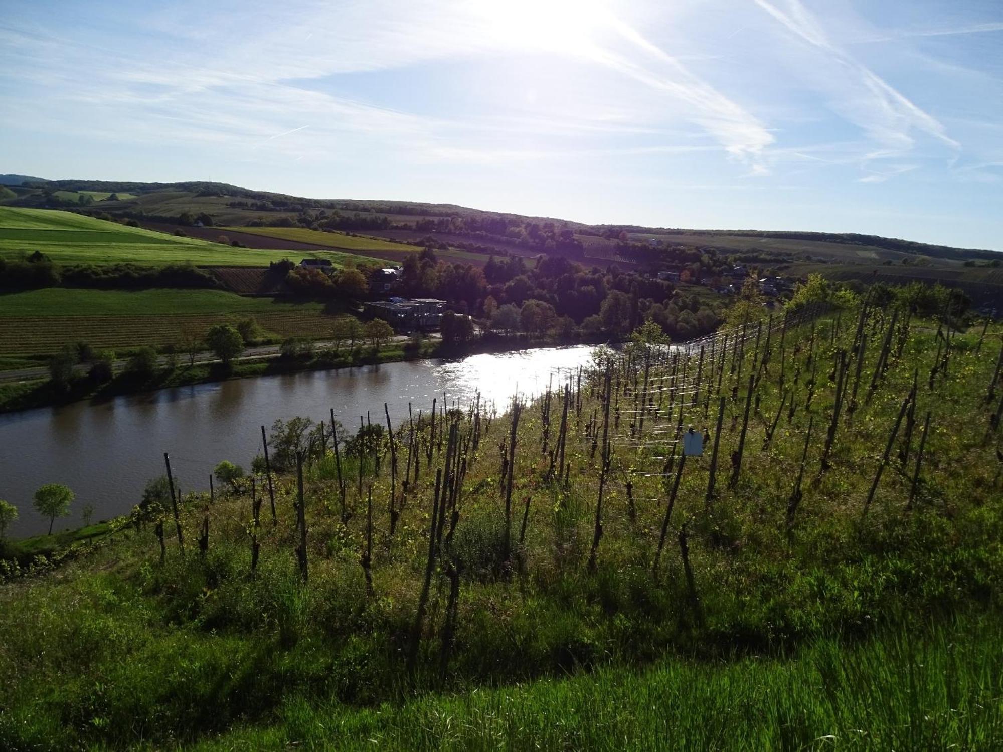 Holiday Apartment Near The Moselle With Terrace Wehr  Exterior foto